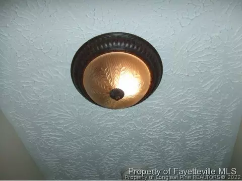 40 Wilson Run, Bunnlevel, NC 28323 photo 18