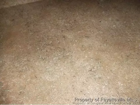 40 Wilson Run, Bunnlevel, NC 28323 photo 7
