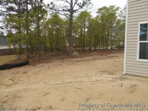 46 Stonehurst Dr, Spring Lake, NC 28390 photo 10