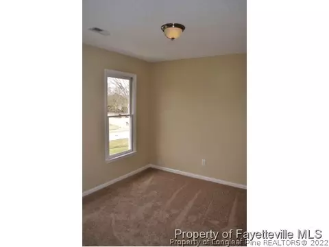 99 Windsor Dr, Angier, NC 27501 photo 21