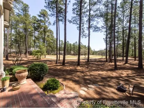 14 Rathlin Ct, Pinehurst, NC 28374 photo 22
