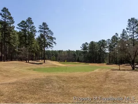 14 Rathlin Ct, Pinehurst, NC 28374 photo 24