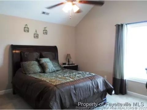 425 Lipscomb Rd, Angier, NC 27501 photo 5