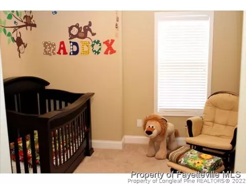 106 Micro Ct, Broadway, NC 27505 photo 20