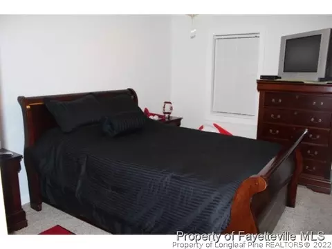 110 Wild Winds, Coats, NC 27521 photo 14