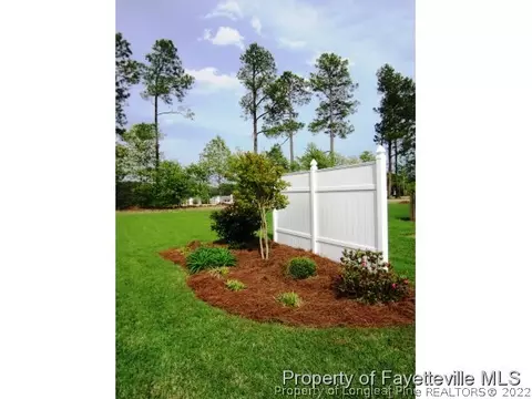 100 Adams Pointe Ct, Angier, NC 27501 photo 23