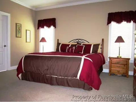 100 Adams Pointe Ct, Angier, NC 27501 photo 13