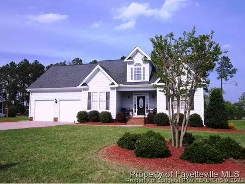 100 Adams Pointe Ct, Angier, NC 27501 photo 1