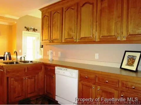 100 Adams Pointe Ct, Angier, NC 27501 photo 12