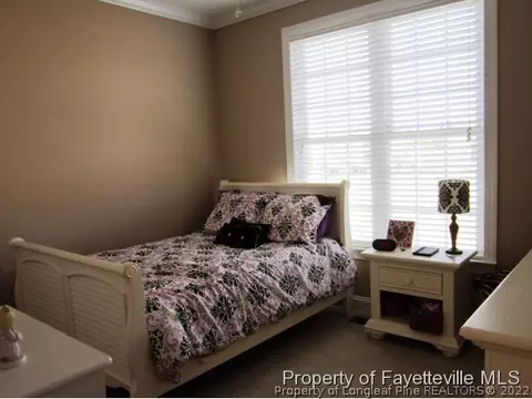 100 Adams Pointe Ct, Angier, NC 27501 photo 16