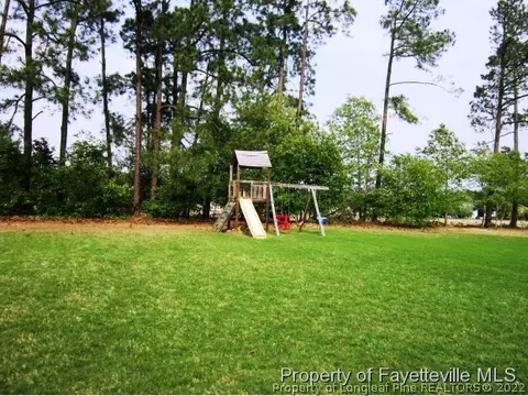 100 Adams Pointe Ct, Angier, NC 27501 photo 24