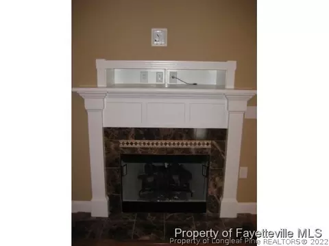 68 Deep Woods Ln, Cameron, NC 28326 photo 6