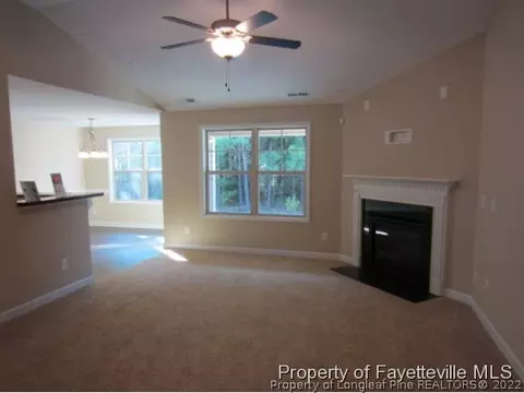 241 241 Snipe Ct, Raeford, NC 28376 photo 11