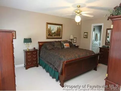 114 Brightleaf Ct, Angier, NC 27501 photo 7