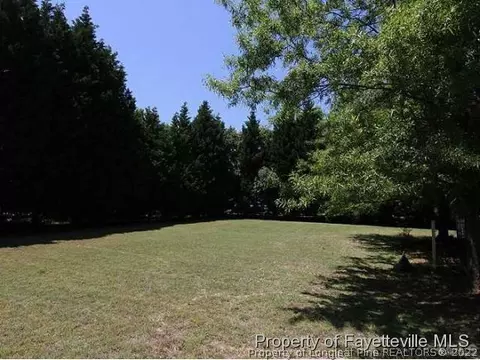 114 Brightleaf Ct, Angier, NC 27501 photo 11