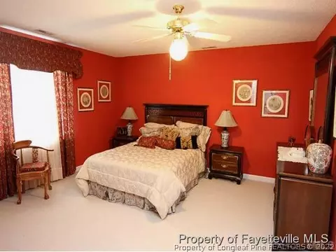 114 Brightleaf Ct, Angier, NC 27501 photo 9