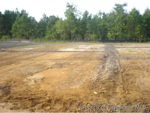 785 St Johns Loop, Raeford, NC 28376 photo 19