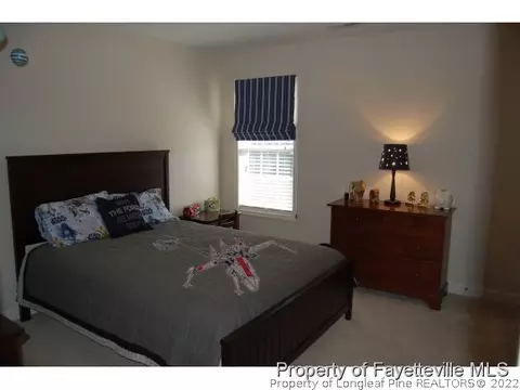 314 Lennox Loop, Raeford, NC 28376 photo 16