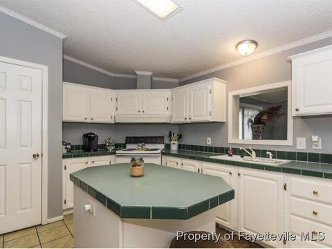 3248 Corinth Rd, Moncure, NC 27559 photo 9