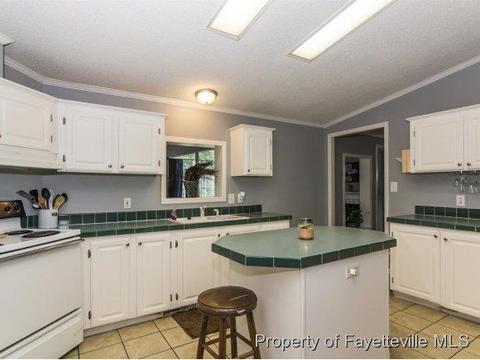 3248 Corinth Rd, Moncure, NC 27559 photo 12