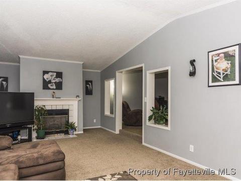 3248 Corinth Rd, Moncure, NC 27559 photo 15
