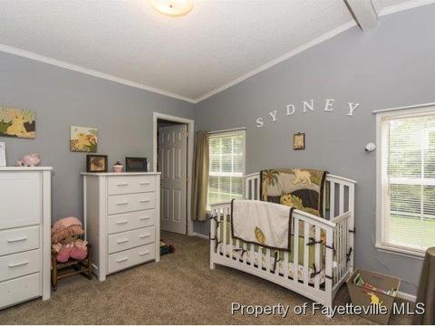 3248 Corinth Rd, Moncure, NC 27559 photo 21