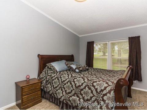 3248 Corinth Rd, Moncure, NC 27559 photo 19
