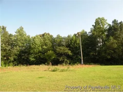2925 Cameron Hill Rd, Cameron, NC 28326 photo 24