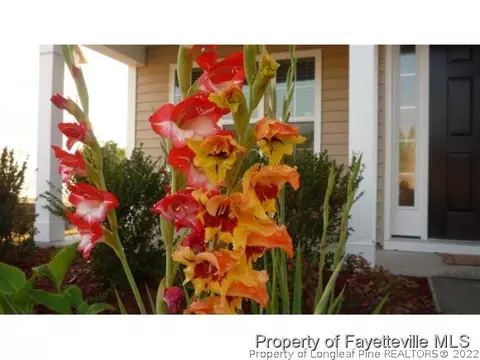 94 Bicentennial Way, Cameron, NC 28326 photo 5
