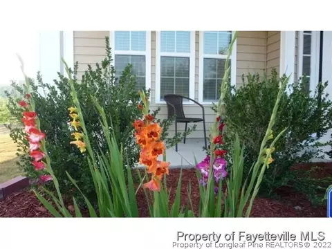 94 Bicentennial Way, Cameron, NC 28326 photo 3