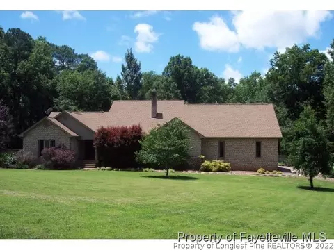 151 Quail, Angier, NC 27501 photo 1