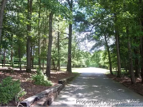 151 Quail, Angier, NC 27501 photo 6