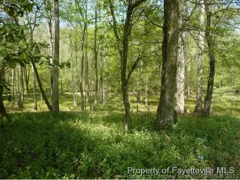 151 Quail, Angier, NC 27501 photo 9
