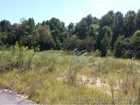 287 Mayor Ct, Raeford, NC 28376 photo 1