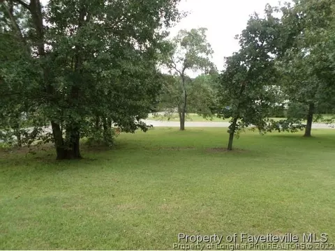 71 Springview Dr, Cameron, NC 28326 photo 3