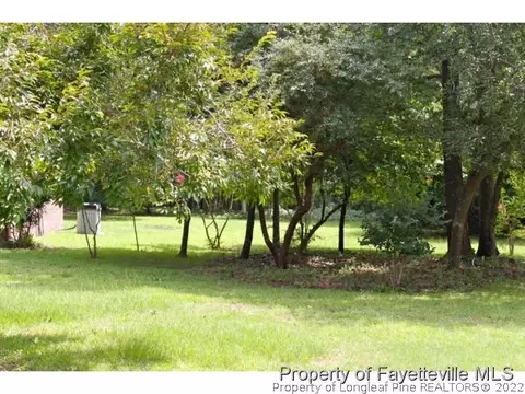 20 Clyde Ln, Cameron, NC 28326 photo 23
