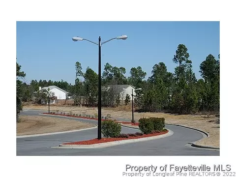 88 Judiciary Ct, Cameron, NC 28326 photo 3