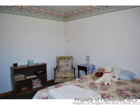 823 Byrds Pond Rd, Erwin, NC 28339 photo 14