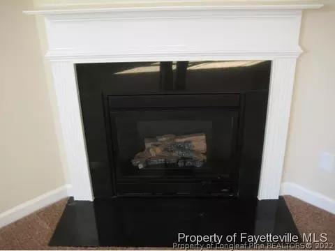 167 Angel Oak Dr, Bunnlevel, NC 28323 photo 6