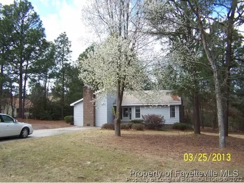 135 Firetree Ln, West End, NC 27376 photo 2