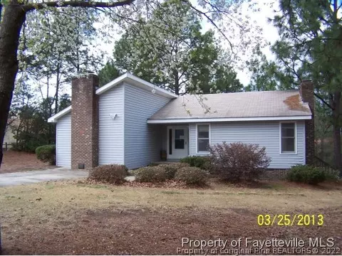 135 Firetree Ln, West End, NC 27376 photo 1