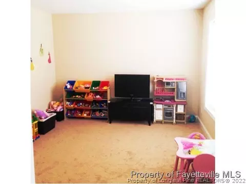 502 St Johns Loop, Raeford, NC 28376 photo 19