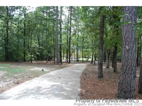 332 Thimbleberry Dr, Vass, NC 28394 photo 15