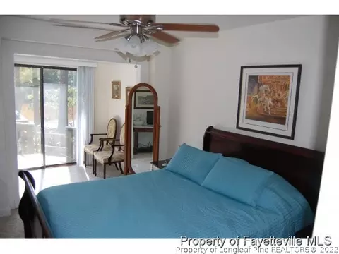 332 Thimbleberry Dr, Vass, NC 28394 photo 6