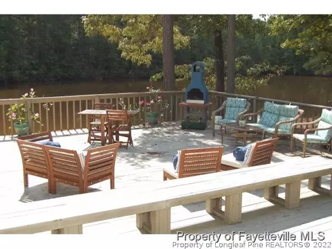332 Thimbleberry Dr, Vass, NC 28394 photo 13