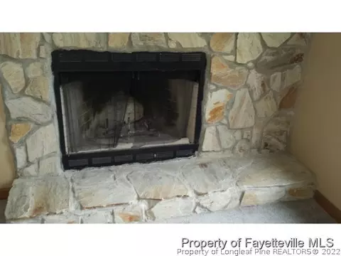 143 Eulon Loop, Raeford, NC 28376 photo 4