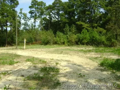 101 Kingdom Ct, Bunnlevel, NC 28323 photo 2