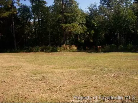 534 Yorkshire Dr, Cameron, NC 28326 photo 3