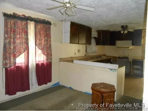602 Eure St, Saint Pauls, NC 28384 photo 6