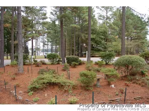 668 Willow Ln, Vass, NC 28394 photo 9